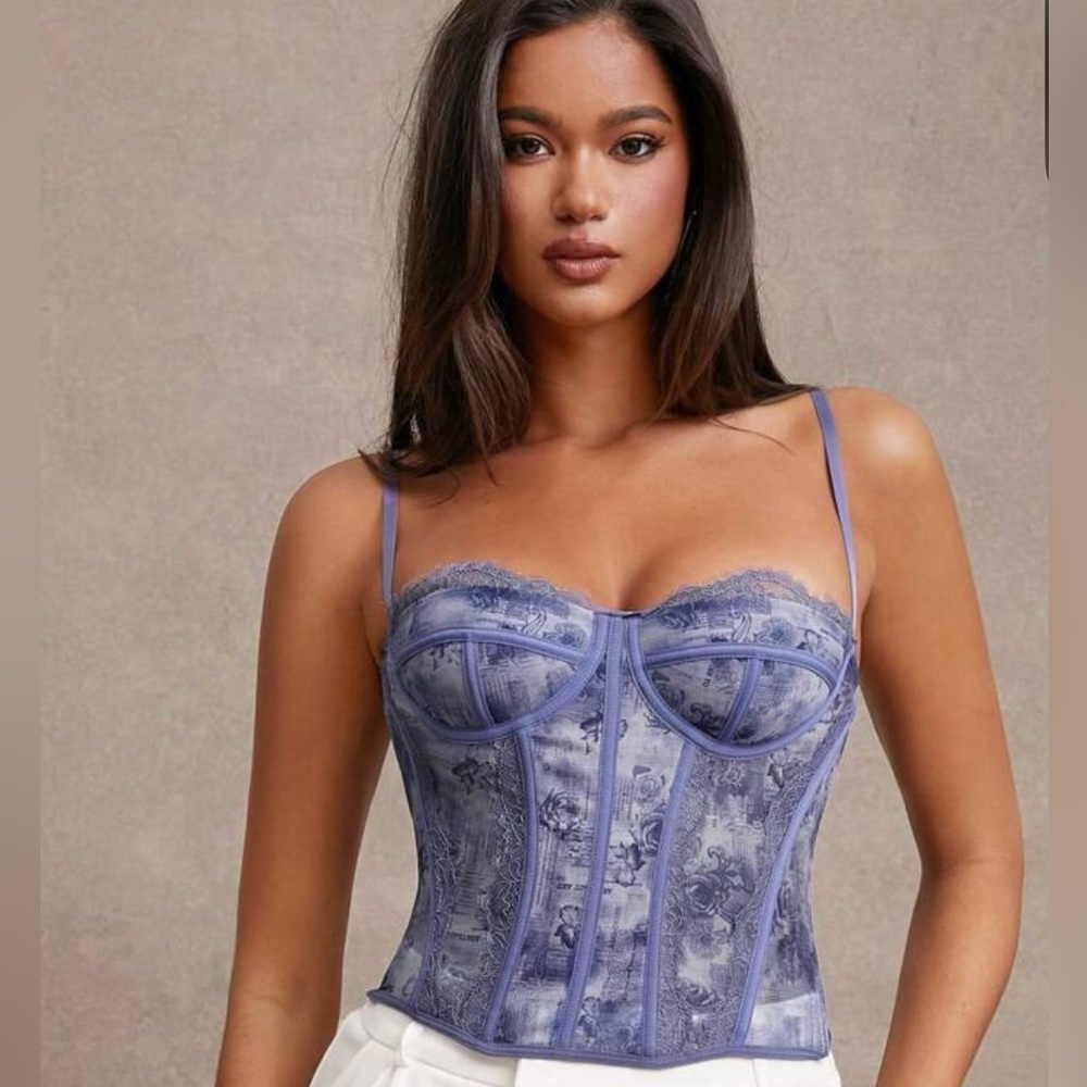 Elegant Purple Lace Corset Top